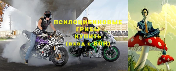 не бодяженный Инсар