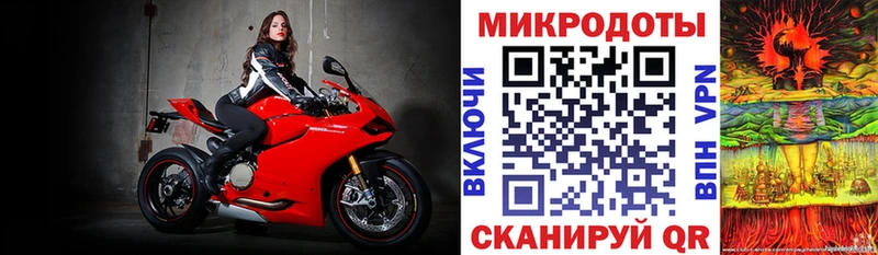 Галлюциногенные грибы Psilocybine cubensis  Купить где  Городовиковск 